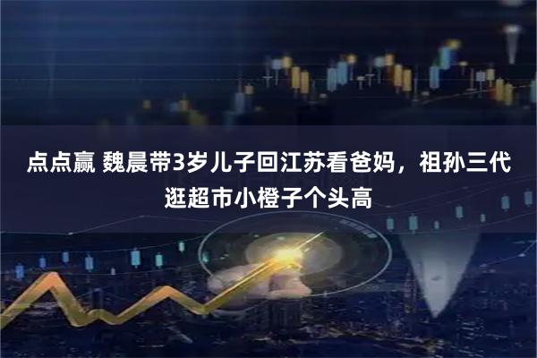 点点赢 魏晨带3岁儿子回江苏看爸妈，祖孙三代逛超市小橙子个头高